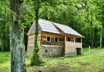 Drewno kontra cegła - domy z drewna